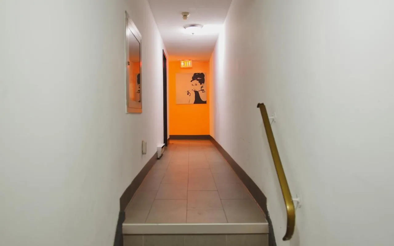 Kensington College Backpackers Hostel Toronto